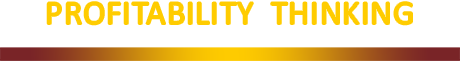 Profitability Thinking